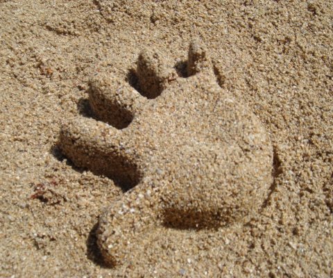 Sand