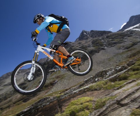 Mauro Franzi, Professional Mountainbikers